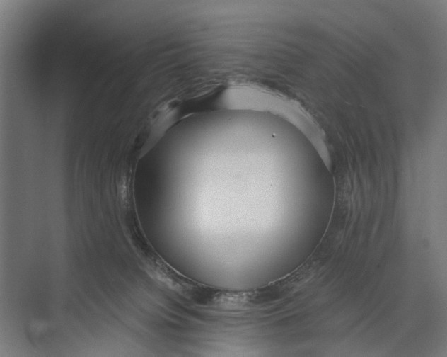 X0000071950084200608041604