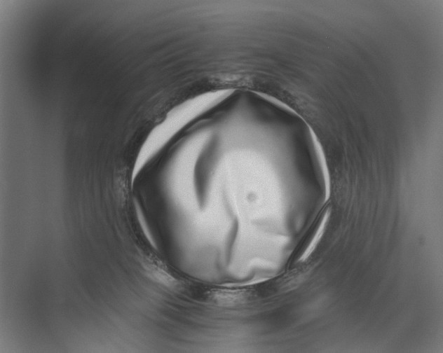 X0000071950085200608041604