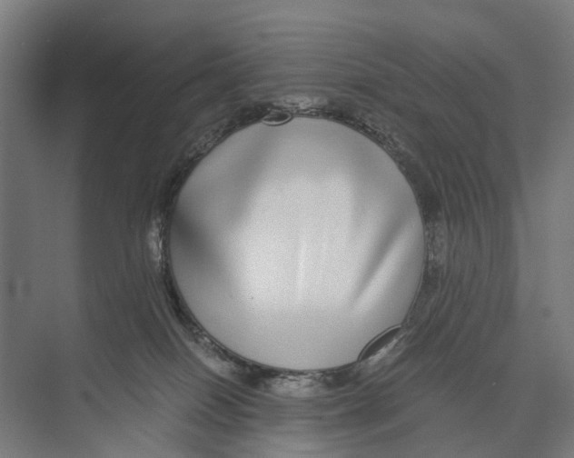 X0000071950086200608041604