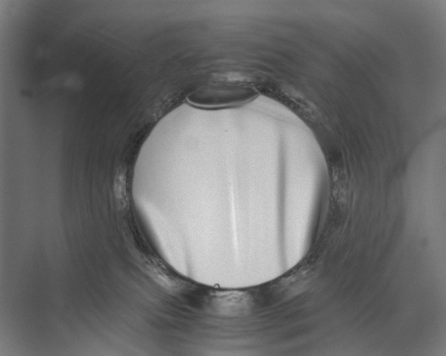 X0000071950087200608041604