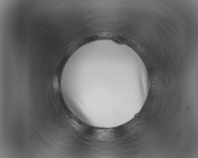 X0000071950089200608041604