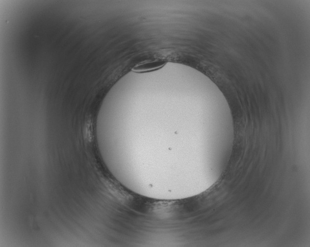 X0000071950090200608041604