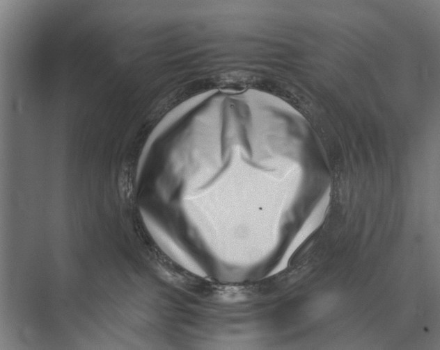 X0000071950091200608041604