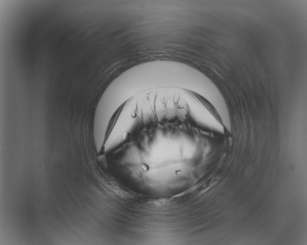 X0000071950092200608041604