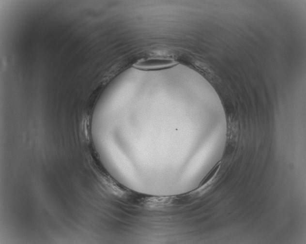 X0000071950094200608041604