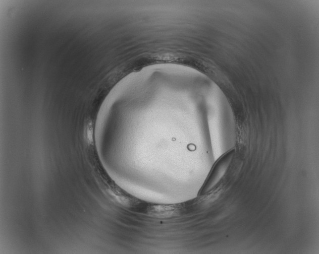 X0000071950095200608041604