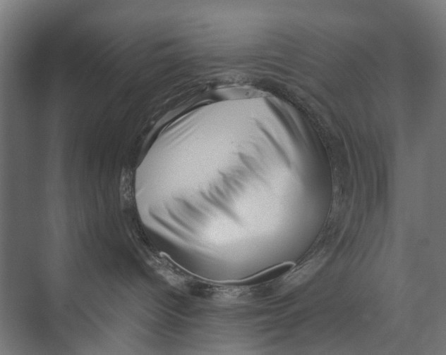 X0000071950096200608041604