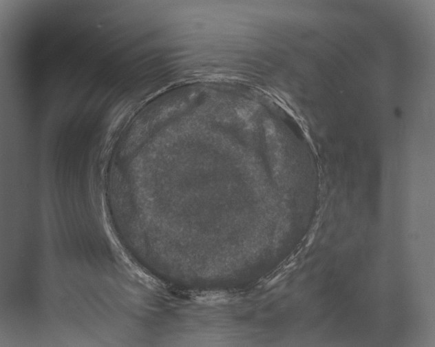 X0000071950097200608041604