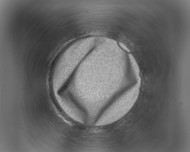 X0000071950098200608041603