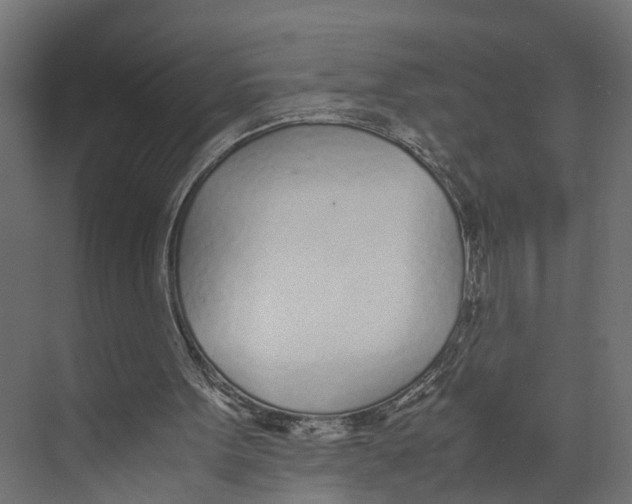 X0000071950099200608041603