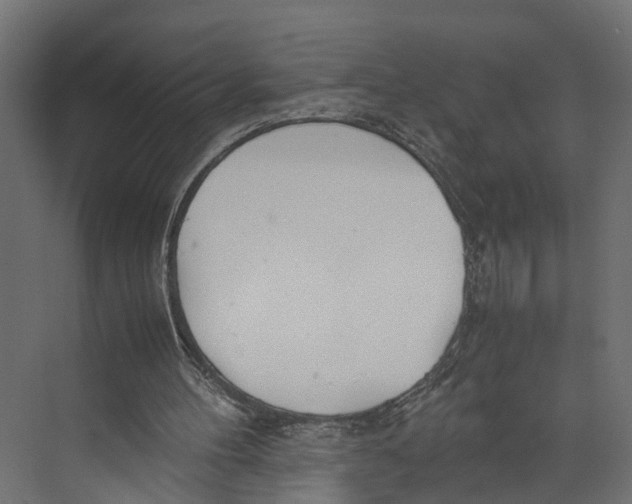 X0000071950100200608041603