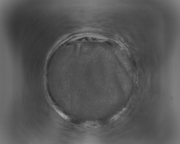 X0000071950101200608041603