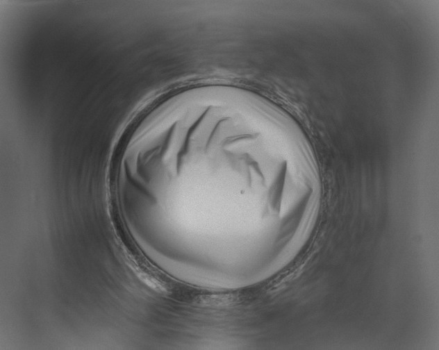 X0000071950102200608041603