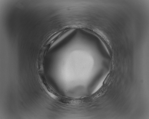 X0000071950105200608041603