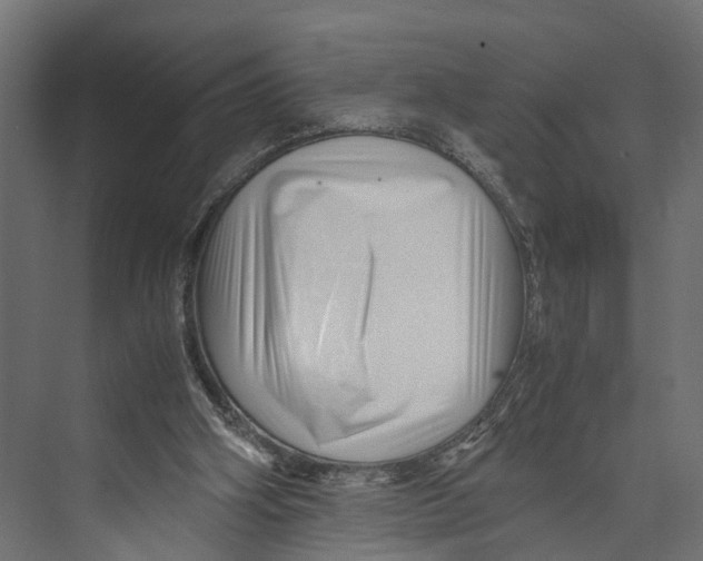 X0000071950106200608041603