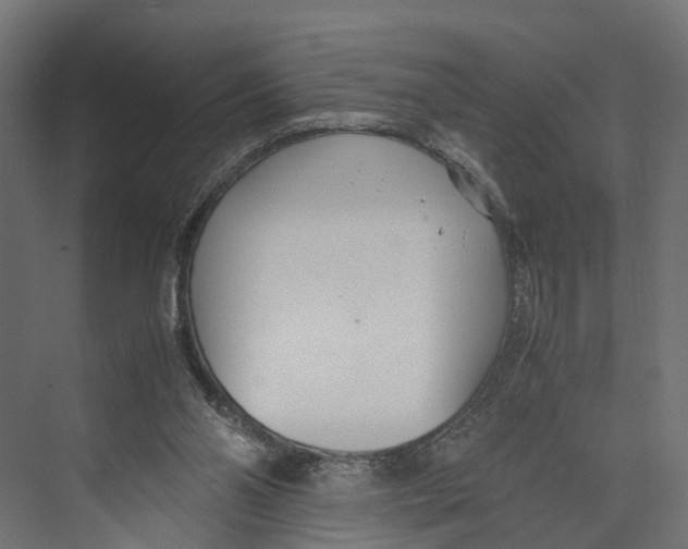 X0000071950110200608041603