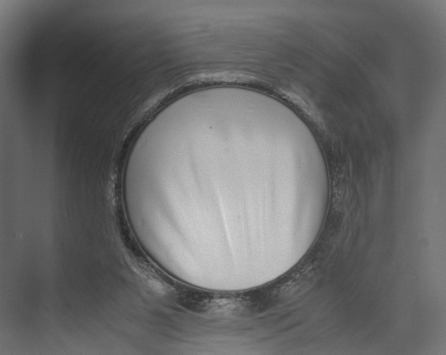 X0000071950111200608041603