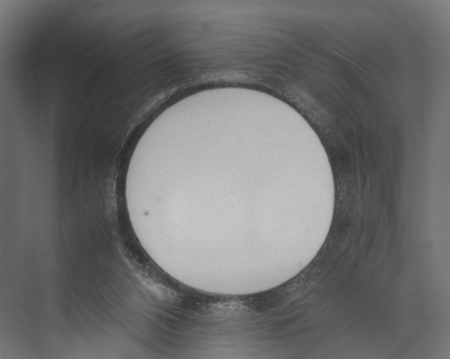 X0000071950112200608041603