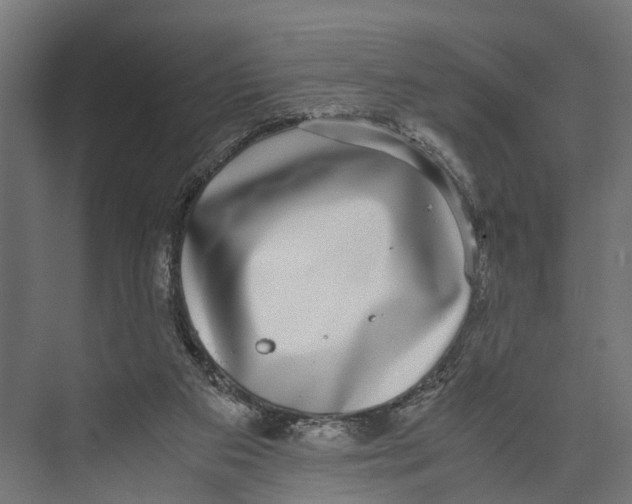 X0000071950113200608041603