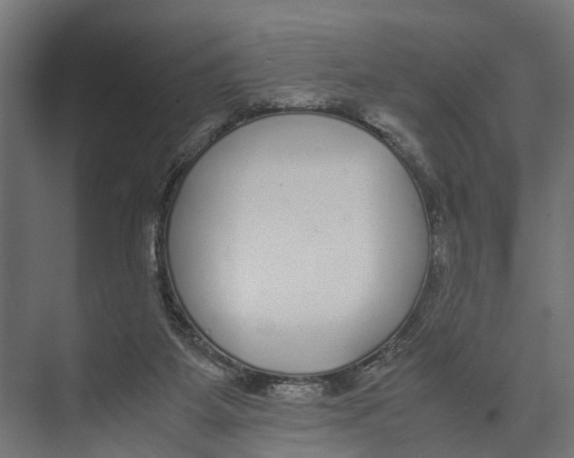 X0000071950115200608041603