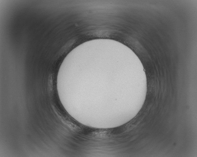 X0000071950120200608041603