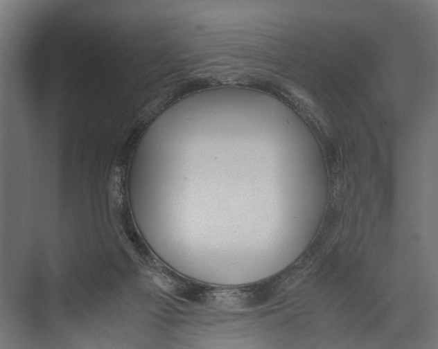 X0000071950121200608041603