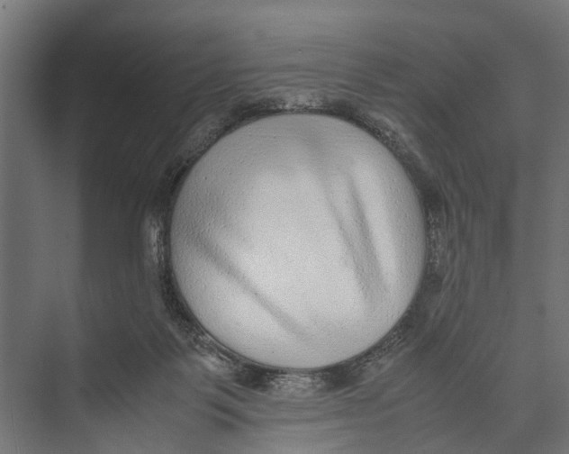 X0000071950123200608041603