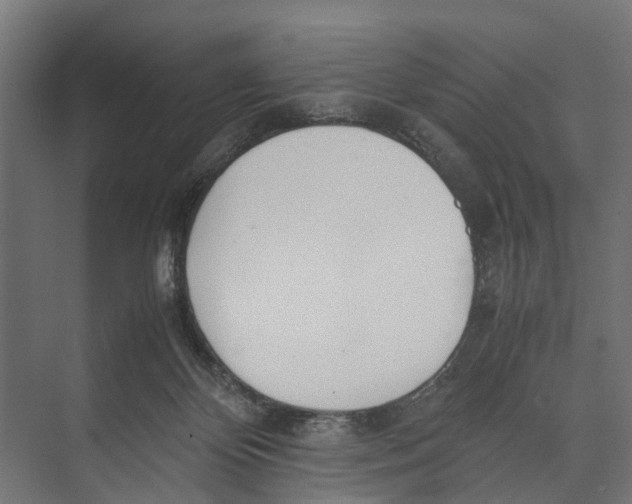 X0000071950124200608041603