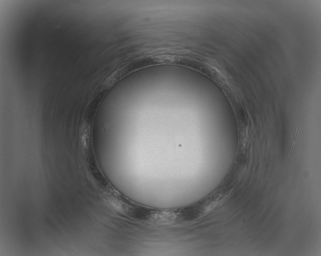 X0000071950125200608041603