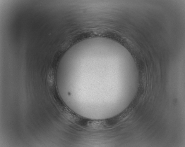 X0000071950129200608041603