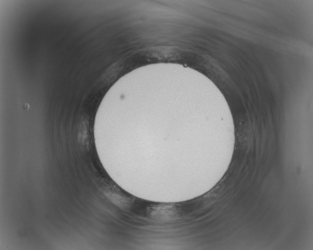 X0000071950132200608041603