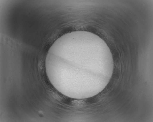 X0000071950133200608041603