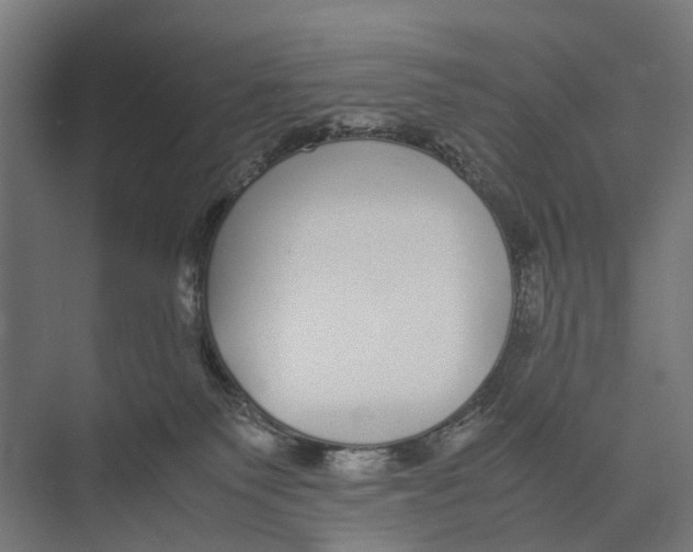 X0000071950135200608041603