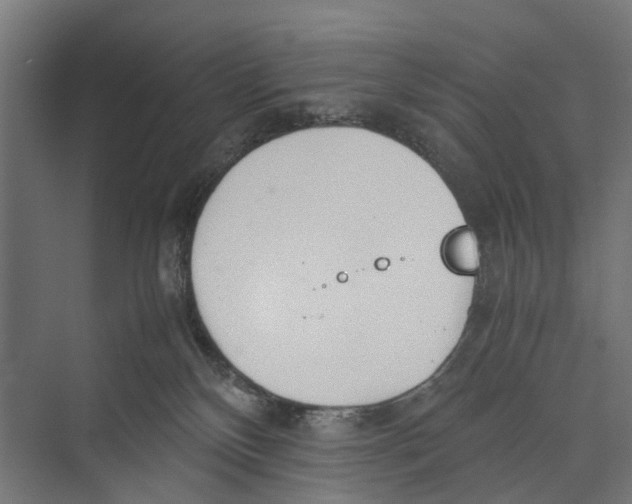 X0000071950136200608041603