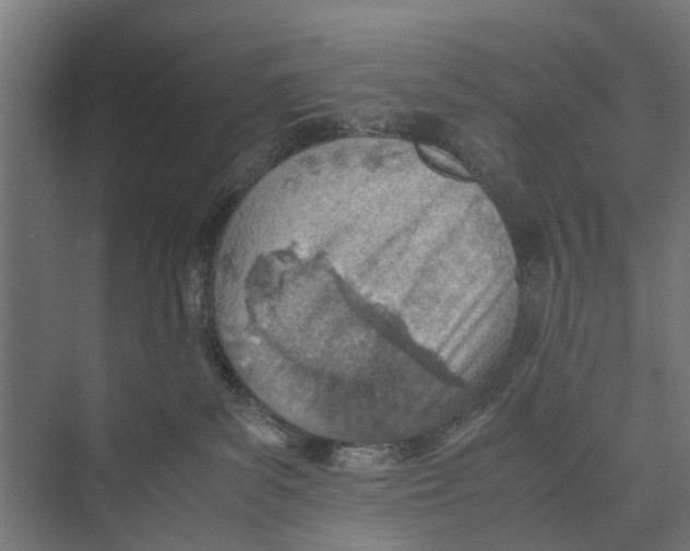 X0000071950139200608041603