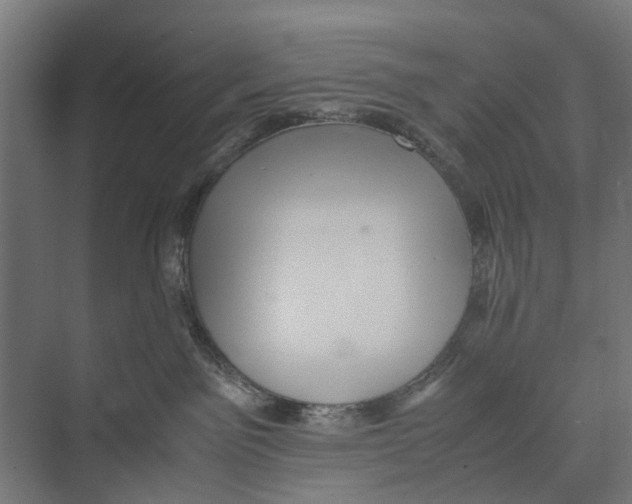 X0000071950141200608041603