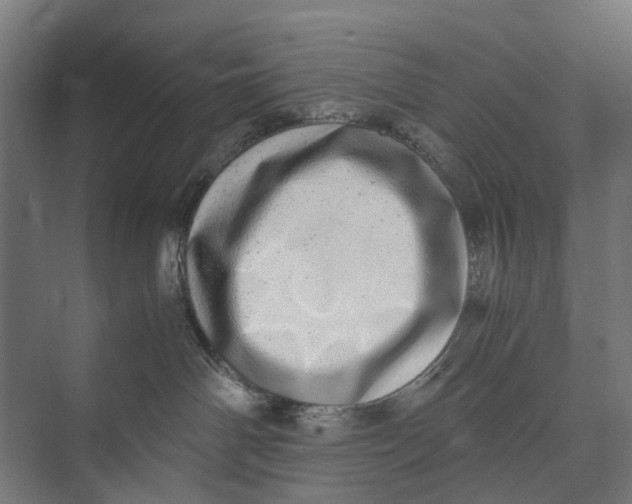 X0000071950142200608041603