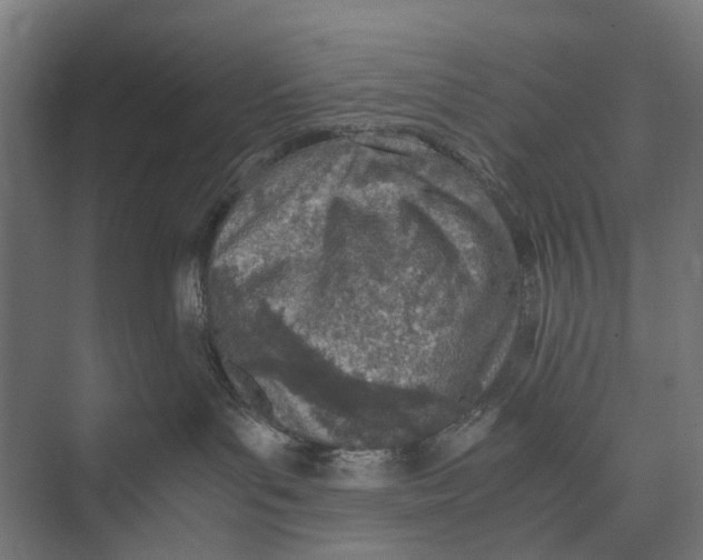 X0000071950143200608041603