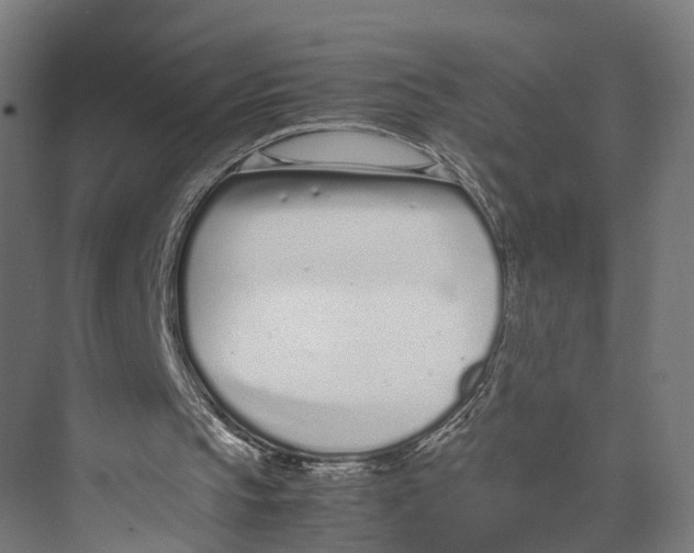 X0000071950145200608041602