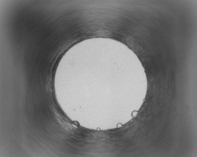 X0000071950146200608041602