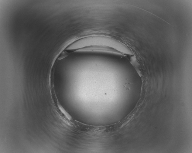 X0000071950148200608041602