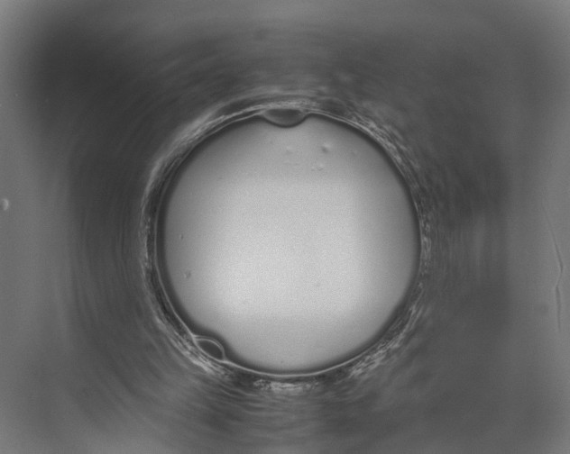 X0000071950149200608041602