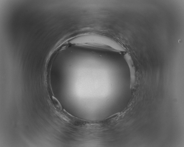 X0000071950150200608041602