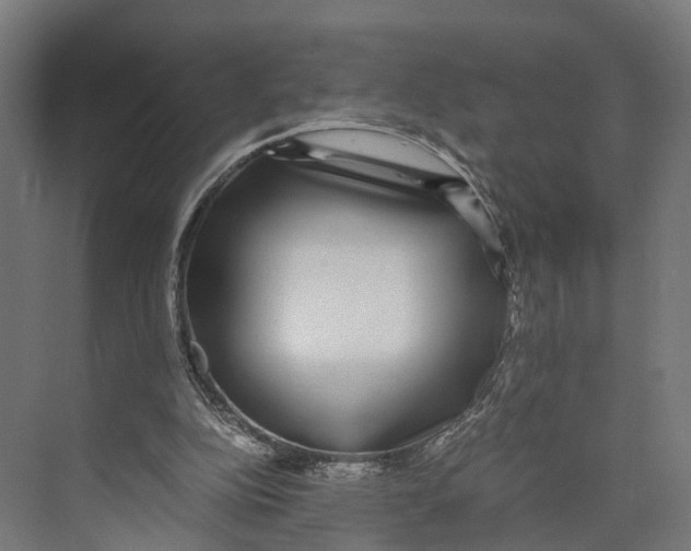 X0000071950152200608041602