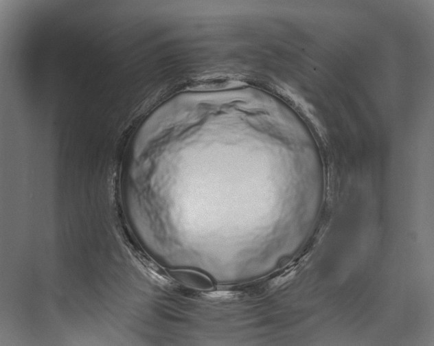 X0000071950153200608041602