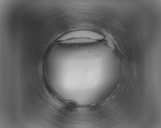 X0000071950154200608041602