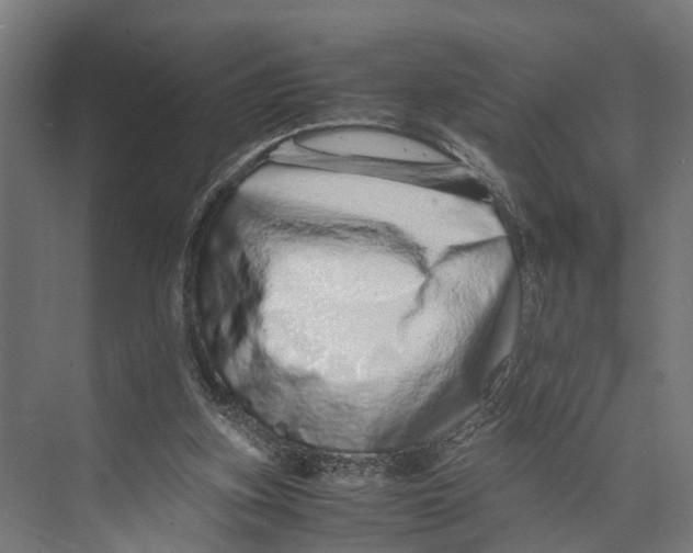 X0000071950155200608041602