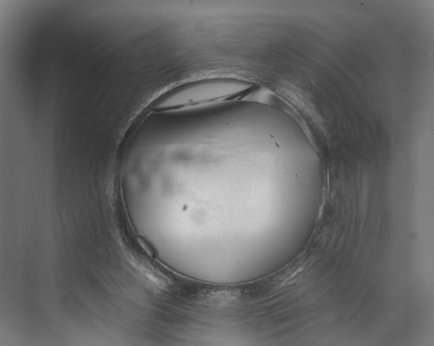 X0000071950156200608041602