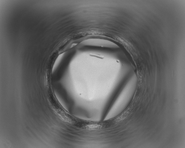 X0000071950158200608041602