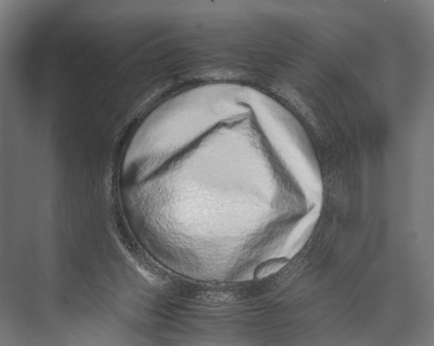 X0000071950159200608041602